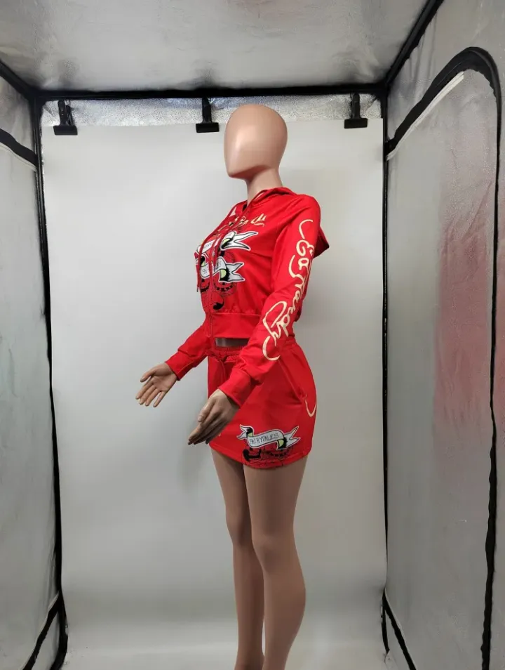 Print Long Sleeve Hooded And Skirts 2 Piece Set